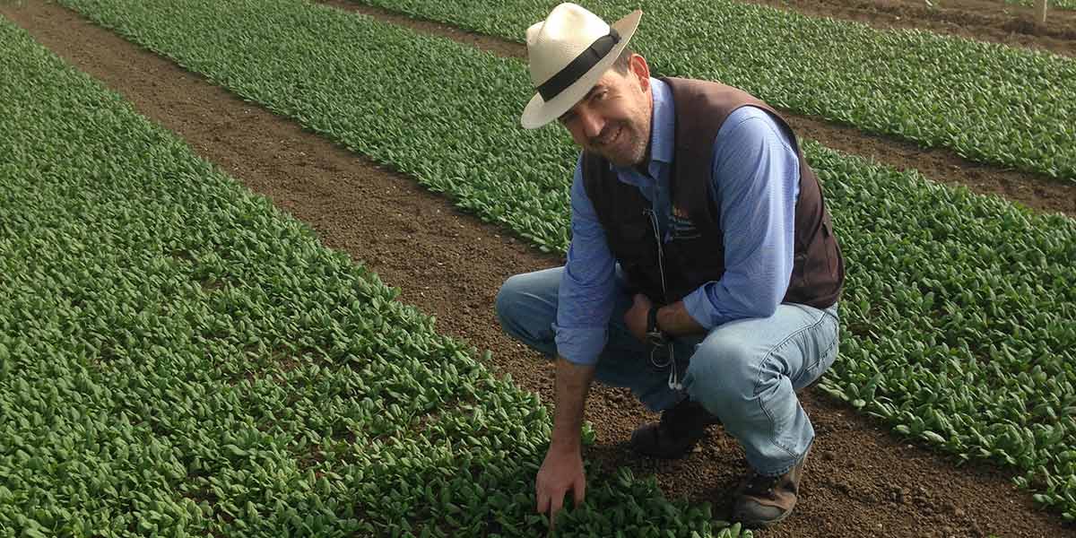 Marco Del Grosso, professione agronomo di campo, si racconta a IFN